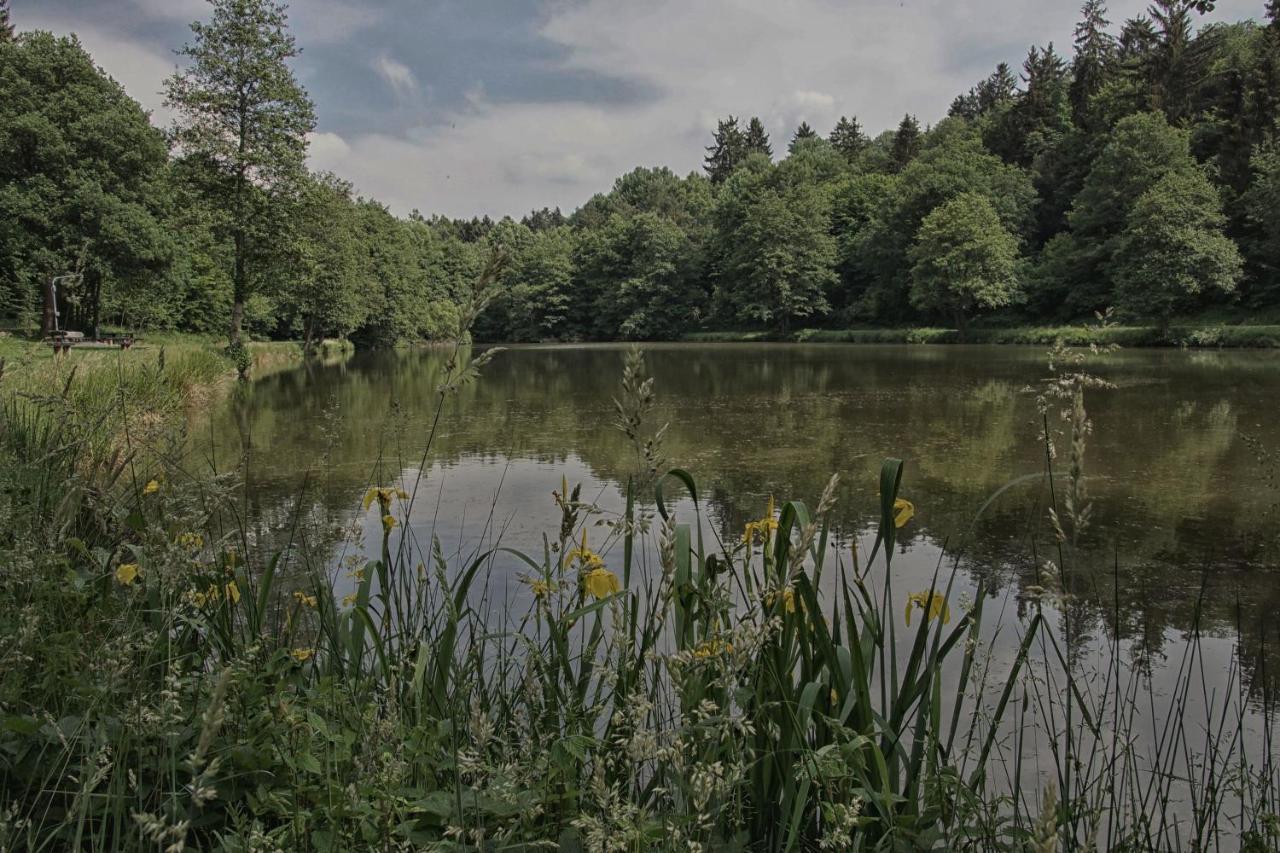 Bed & Breakfast Gaestehaus Koehler *