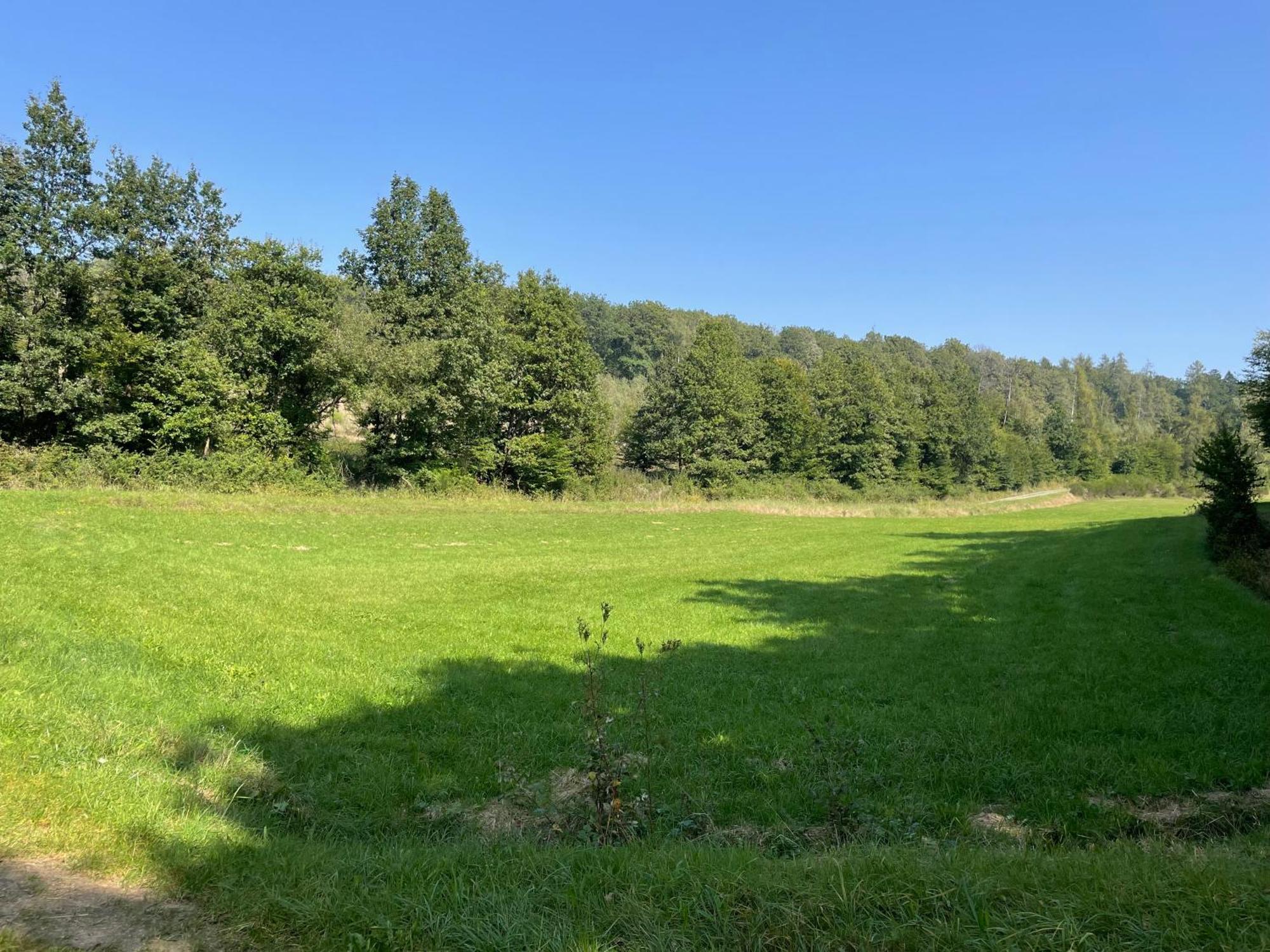 Gaestehaus Koehler * Waldsolms